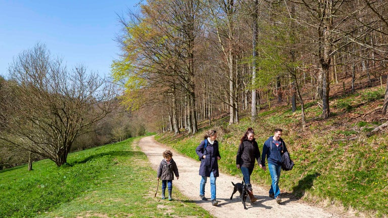 A family of three adults and a child walking their dog along a track through the trees at Woodchester Park on a sunny winter's day